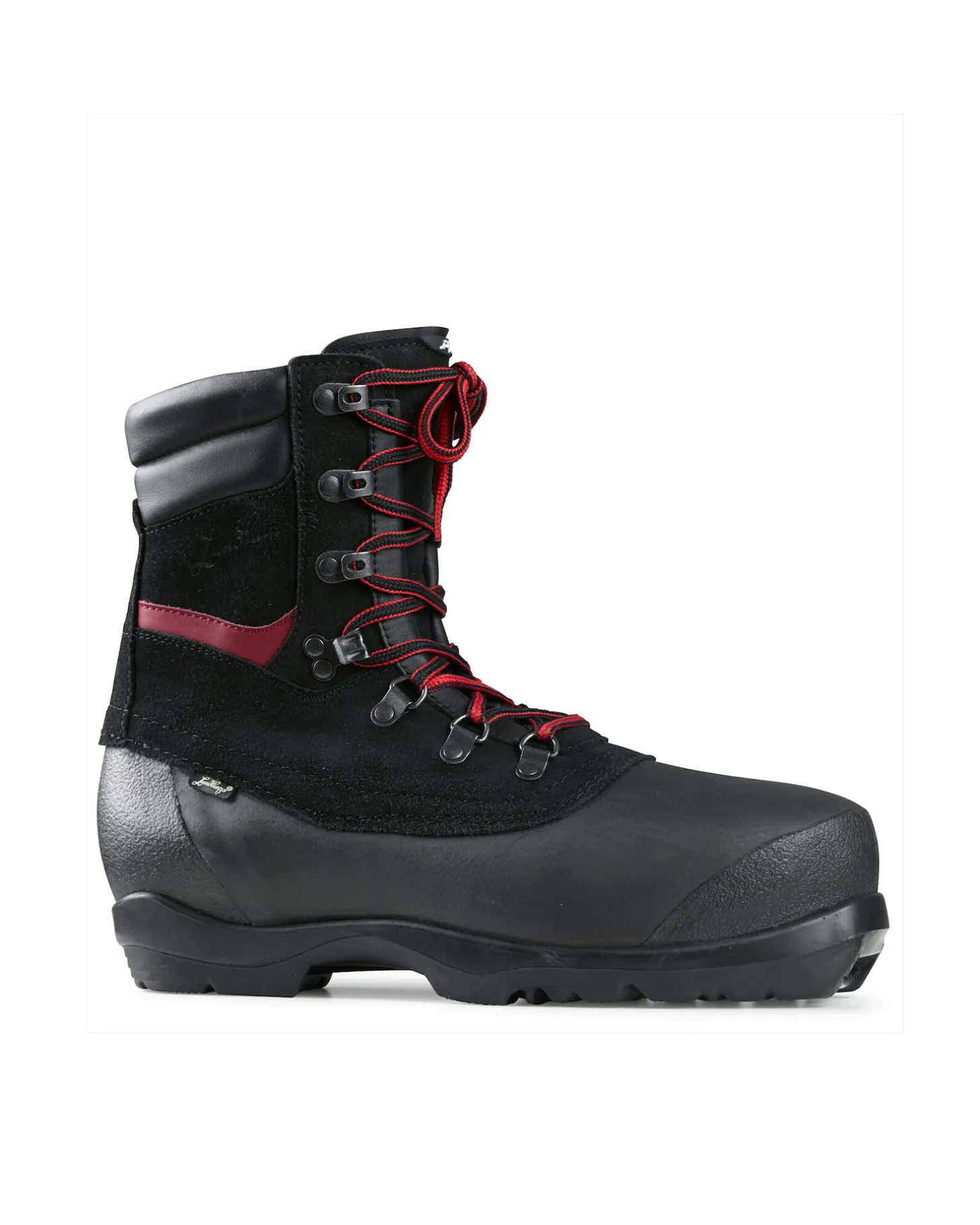 Guide Expedition BC